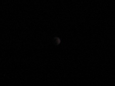 Image Couldn't Display (Refresh)